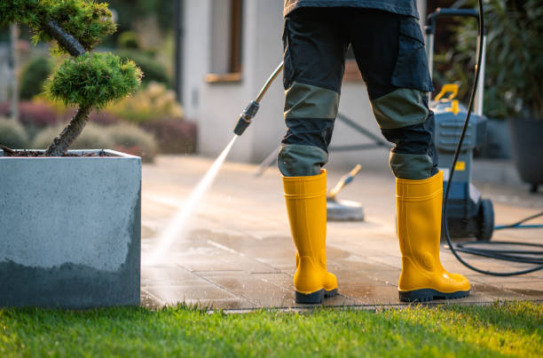 Best Exterior Home Cleaning  in Clarinda, IA